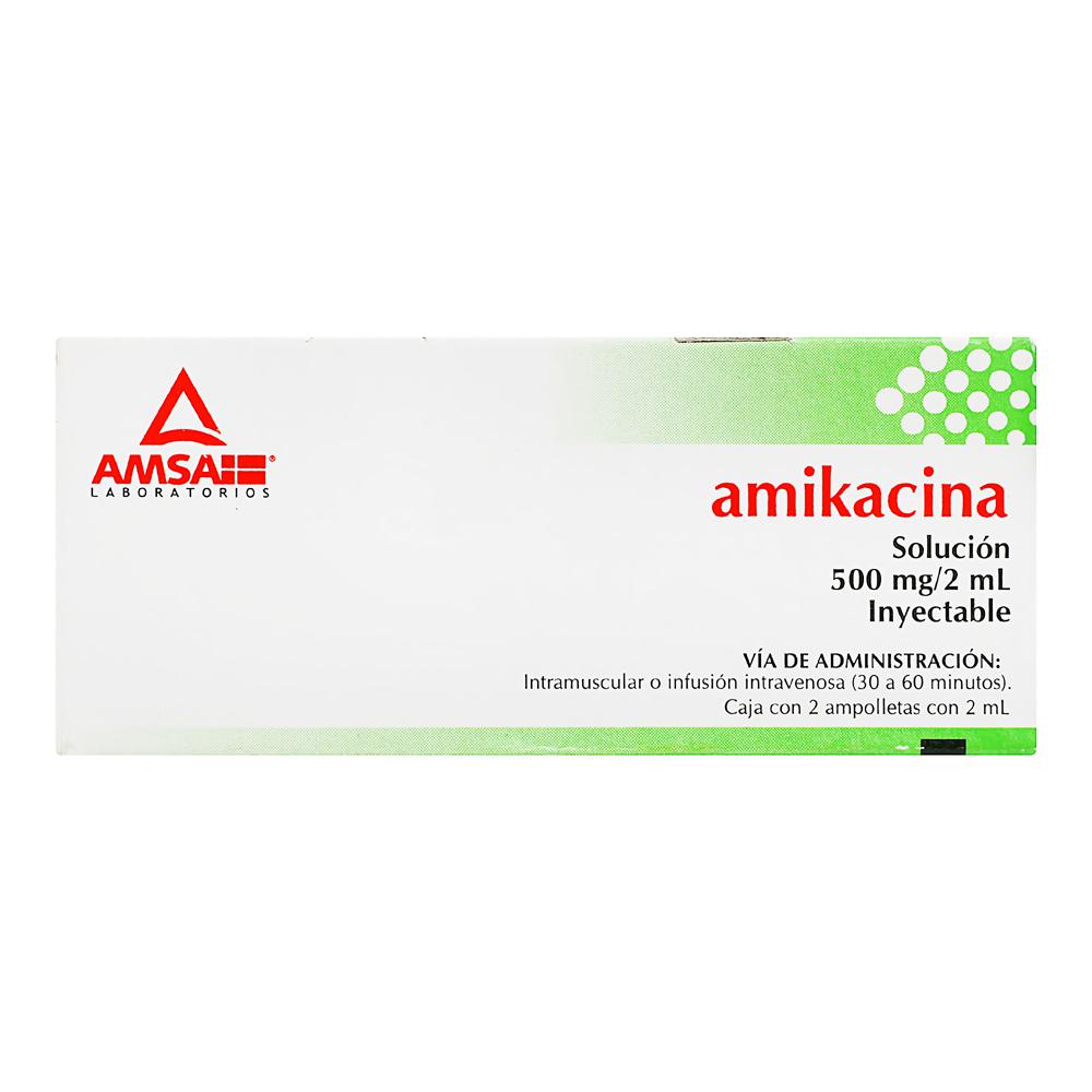 AMIKACINA 500MG C 2 AMSA  95
