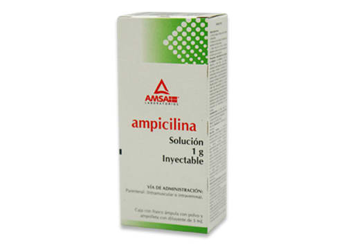 AMPICILINA 1 G SOL INY  AMSA  180